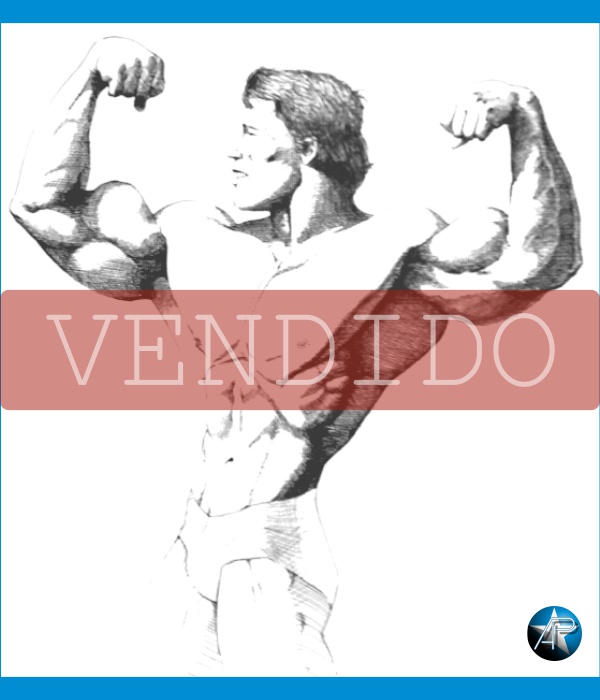 Arnold Schwarzenegger